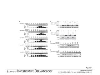 Otgonzaya Ayush (2012) 133 , 723-731. doi:10.1038/jid.2012.373