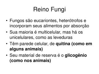 Reino Fungi