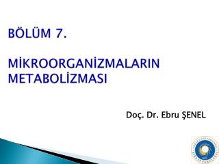 BÖLÜM 7. MİKROORGANİZMALARIN METABOLİZMASI