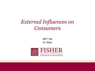 External Influences on Consumers