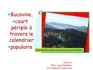 Bucovine, court périple à travers le calendrier populaire