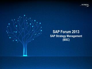 SAP Forum 2013 SAP Strategy Management (BSC)