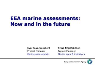 EEA marine assessments: Now and in the future