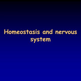 Homeostasis and nervous system