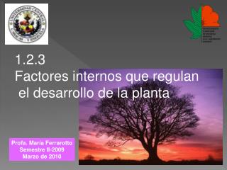 1.2.3 Factores internos que regulan el desarrollo de la planta