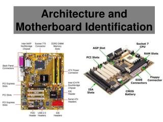 Architecture and Motherboard Identification