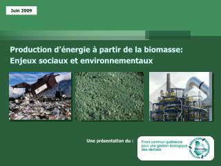 Production d’énergie à partir de la biomasse: Enjeux sociaux et environnementaux