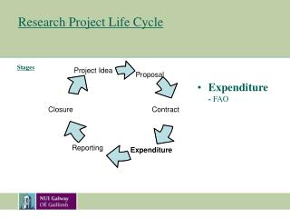 Research Project Life Cycle