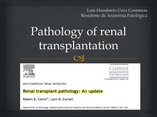 Pathology of renal transplantation