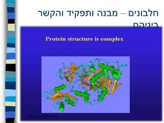 חלבונים – מבנה ותפקיד והקשר ביניהם