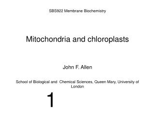 Mitochondria and chloroplasts