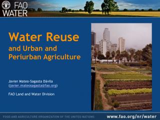Water Reuse and Urban and Periurban Agriculture