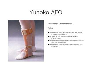 Yunoko AFO