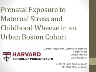 Prenatal Exposure to Maternal Stress and Childhood Wheeze in an Urban Boston Cohort