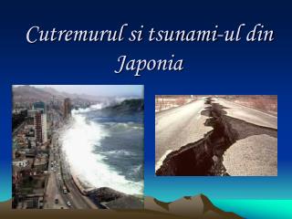 Cutremurul si tsunami-ul din Japonia