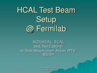 HCAL Test Beam Setup @ Fermilab