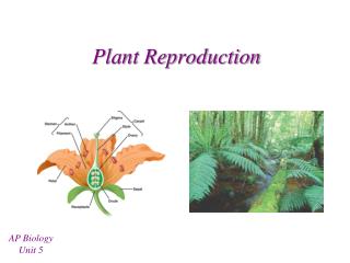 Plant Reproduction