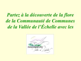 Partez à la découverte de la flore de la Communauté de Communes de la Vallée de l’Échelle avec les