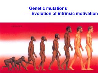 Genetic mutations —— Evolution of intrinsic motivation