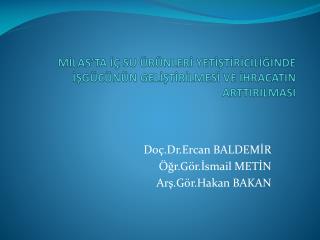 MİLAS’TA İÇ SU ÜRÜNLERİ YETİŞTİRİCİLİĞİNDE İŞGÜCÜNÜN GELİŞTİRİLMESİ VE İHRACATIN ARTTIRILMASI