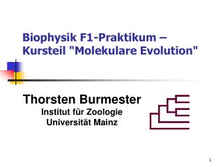 Biophysik F1-Praktikum – Kursteil &quot;Molekulare Evolution&quot;