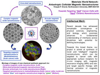 Materials World Network: Anisotropic Colloidal Magnetic Nanostructures