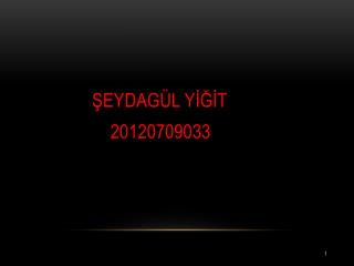 ŞEYDAGÜL YİĞİT 20120709033