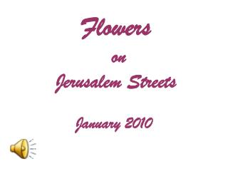 Flowers on Jerusalem Streets