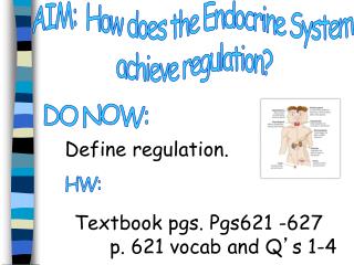 AIM: How does the Endocrine System achieve regulation?