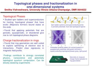 Topological Phases
