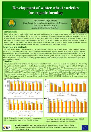 Development of winter wheat varieties for organic farming