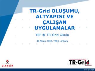 TR-Grid OLUŞUMU, ALTYAPISI VE ÇALIŞAN UYGULAMALAR