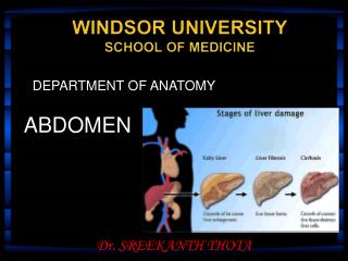 WINDSOR UNIVERSITY SCHOOL OF MEDICINE