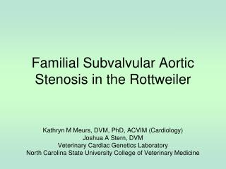 Familial Subvalvular Aortic Stenosis in the Rottweiler