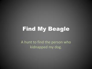 Find My Beagle