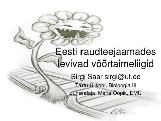 Eesti raudteejaamades levivad võõrtaimeliigid