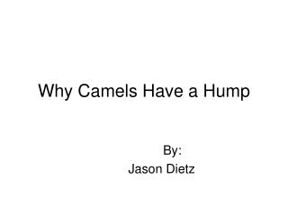 Why Camels Have a Hump
