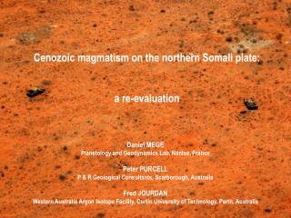 Cenozoic magmatism on the northern Somali plate: a re-evaluation