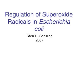 Regulation of Superoxide Radicals in Escherichia coli