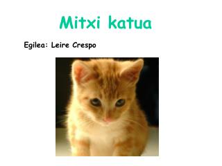 Mitxi katua