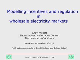 Modelling incentives and regulation in wholesale electricity markets