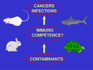 IMMUNO COMPÉTENCE?
