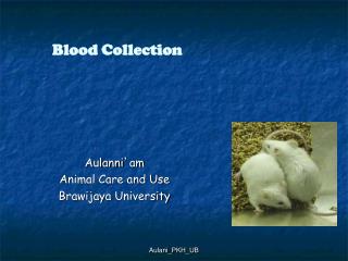 Blood Collection