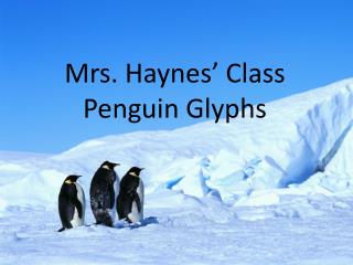 Mrs. Haynes’ Class Penguin Glyphs