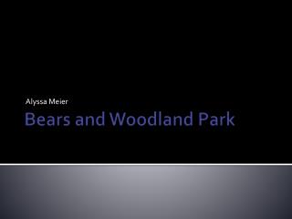 Bears and Woodland Park