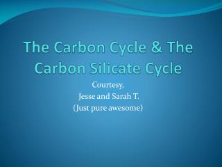 The Carbon Cycle &amp; The Carbon Silicate Cycle
