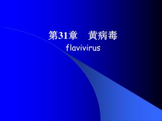 第 31 章 黄病毒 flavivirus