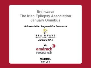 Brainwave The Irish Epilepsy Association January Omnibus A Presentation Prepared For Brainwave