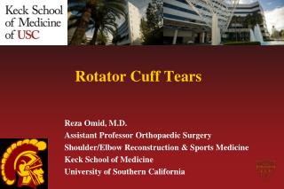 Rotator Cuff Tears