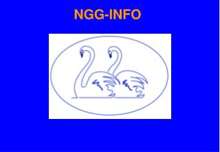 NGG-INFO